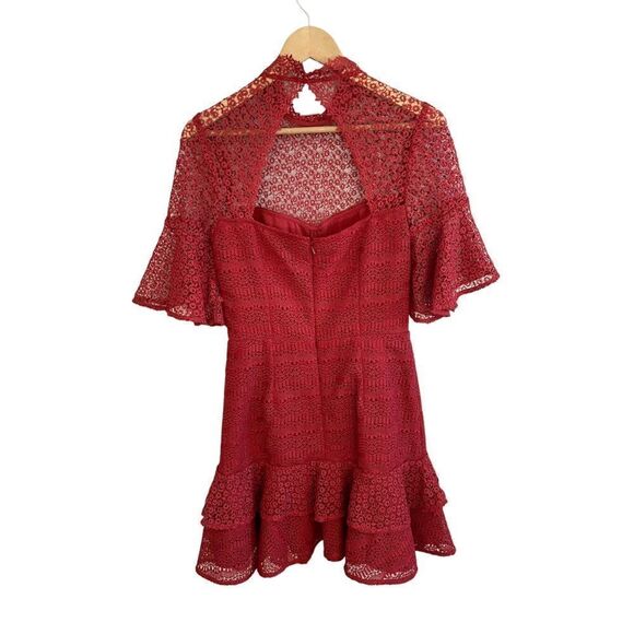 AMUR Mila Mini Lace Dress Spice - Picture 5 of 8